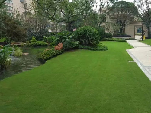 園林綠化工程施工，園林綠化養(yǎng)護(hù)，別墅庭院綠化